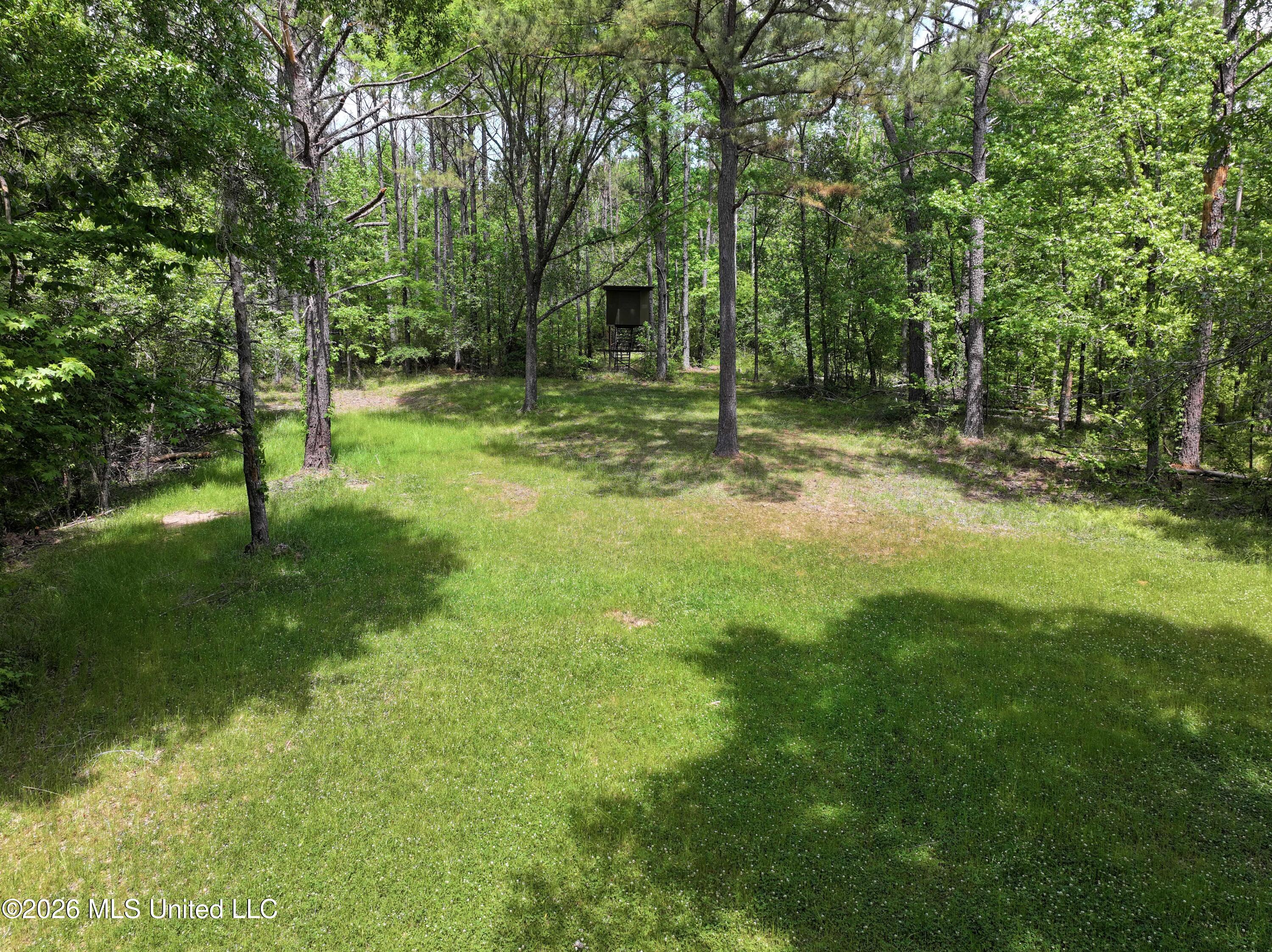 3029 Norman Road Hazlehurst, MS 39083 - Photo 53 of 55 3029 Norman Road Drone Pics and Videos (