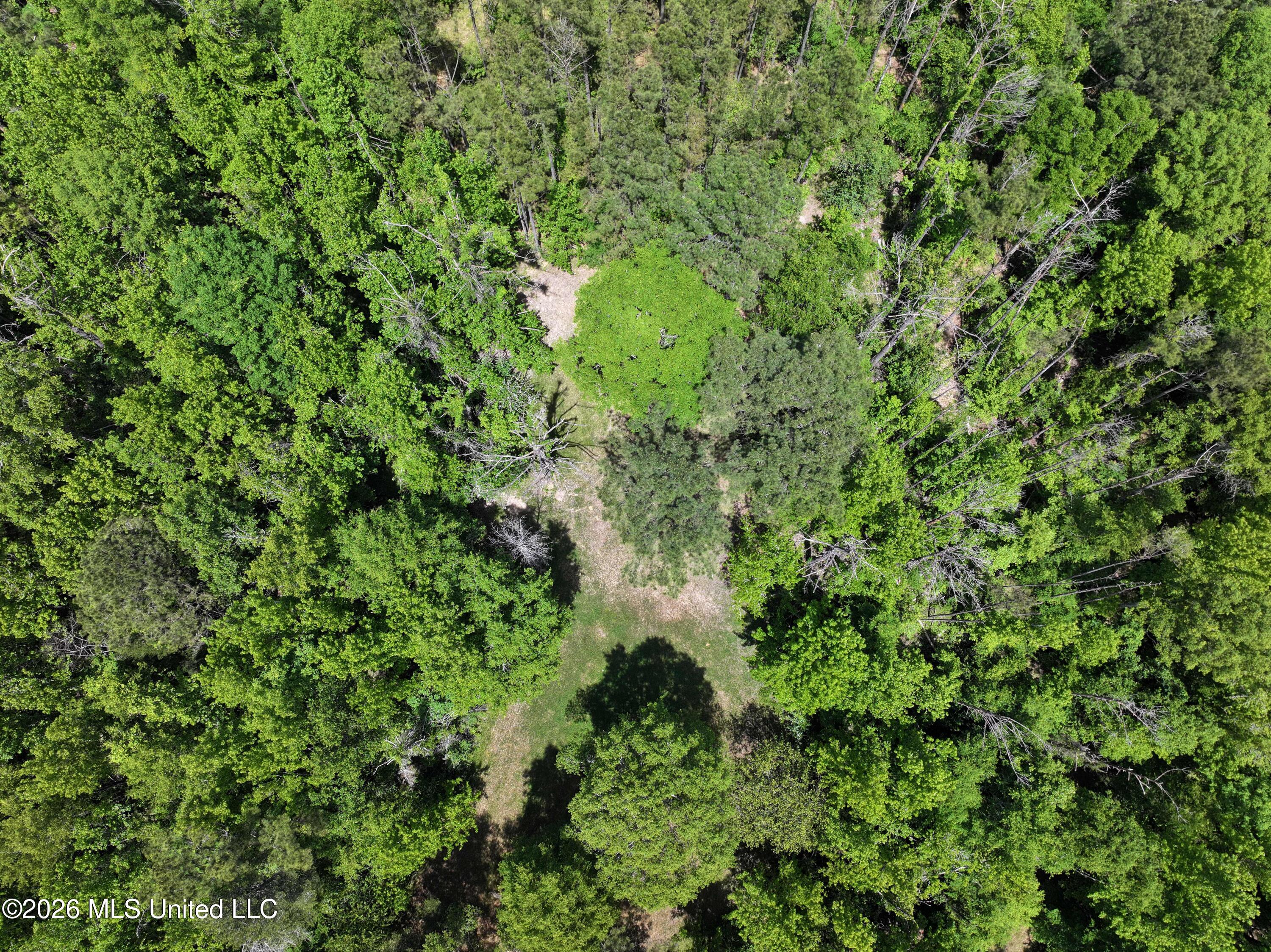 3029 Norman Road Hazlehurst, MS 39083 - Photo 54 of 55 3029 Norman Road Drone Pics and Videos (