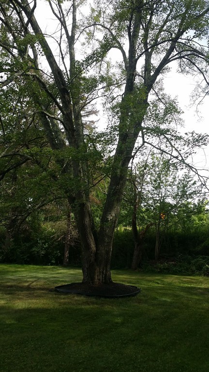 2 Boivin Avenue Ware, MA 01082 - Photo 2 of 21 a view of a park