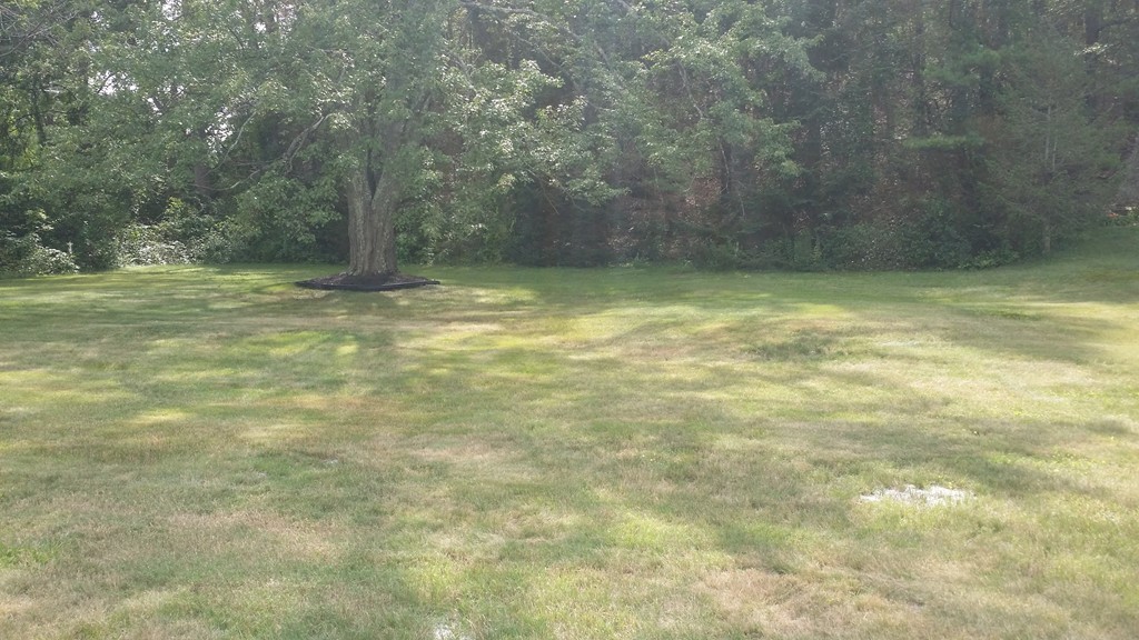 2 Boivin Avenue Ware, MA 01082 - Photo 3 of 21 a view of a yard with a trees