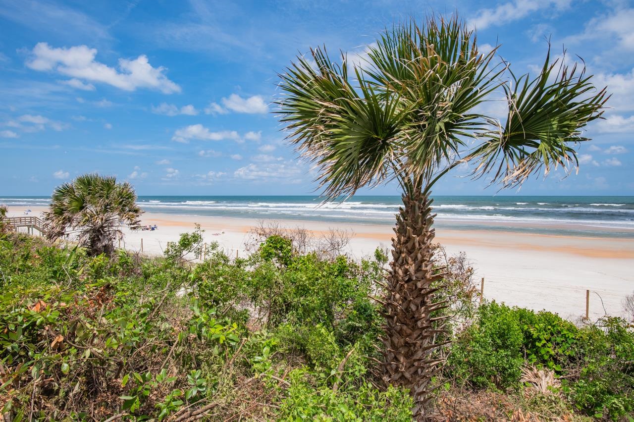8550 A1A South, Unit 261 St. Augustine, FL 32080 - Photo 14 of 23 a view of a yard