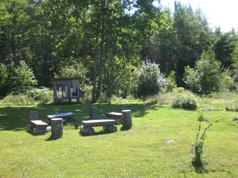 52 Lower Cross Road Hudson, ME 04449 - Photo 14 of 15 Yard/Garden.