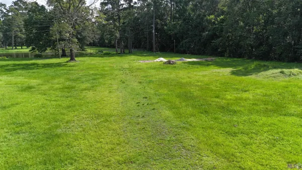 $175,000 | Tbd Magnolia Bridge Road, Greenwell Springs, LA 70739
