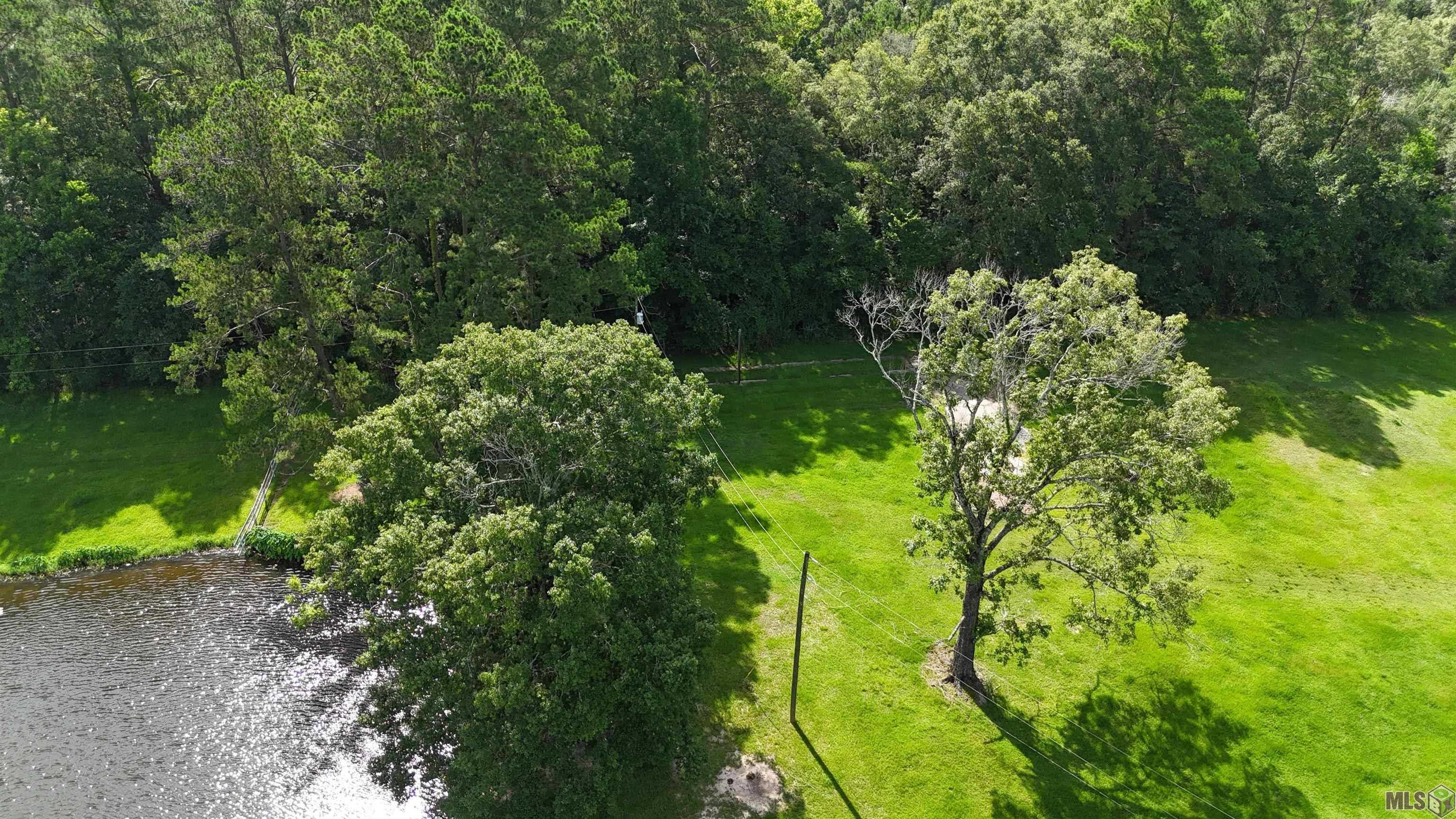 Tbd Magnolia Bridge Road Greenwell Springs, LA 70739 - Photo 7 of 9