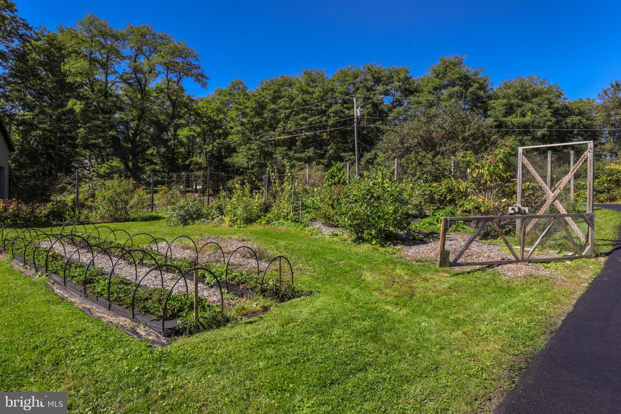 296 Morral Road Wellsboro, PA 16901 - Photo 39 of 70 Gallery Image 39