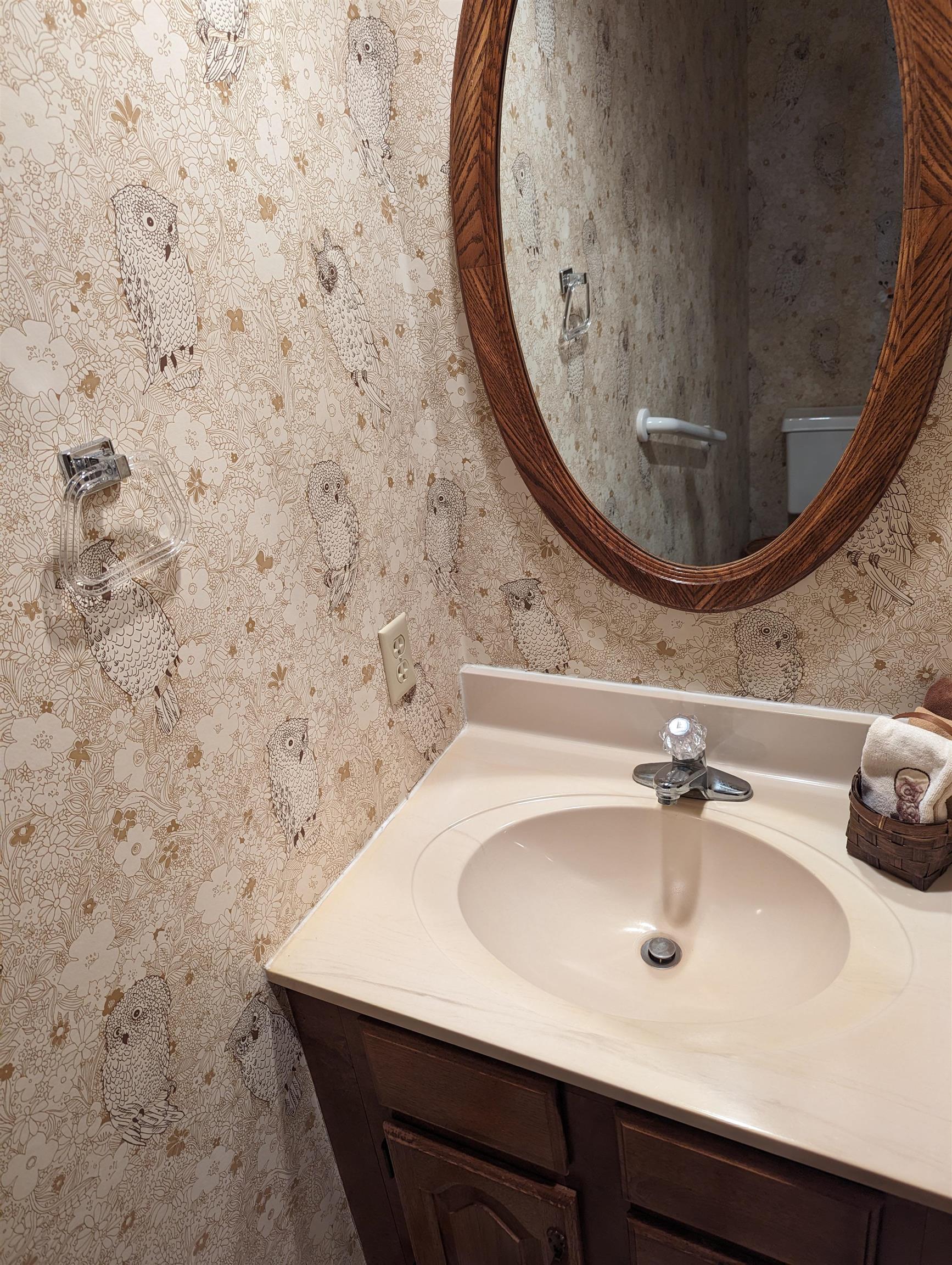 2995 West Forest Road Freeport, IL 61032 - Photo 14 of 42 a bathroom with a sink and a mirror