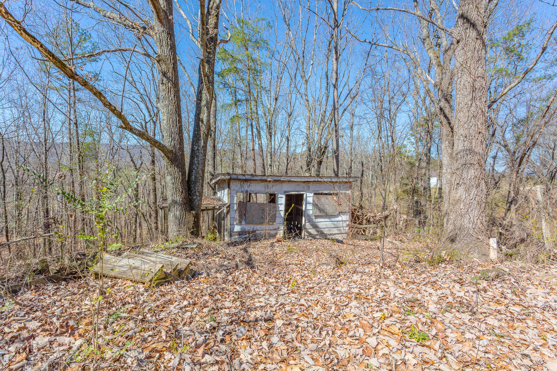 406 Ridgeland Road Rossville, GA 30741 - Photo 40 of 56 406 Ridgeland Road HD-1