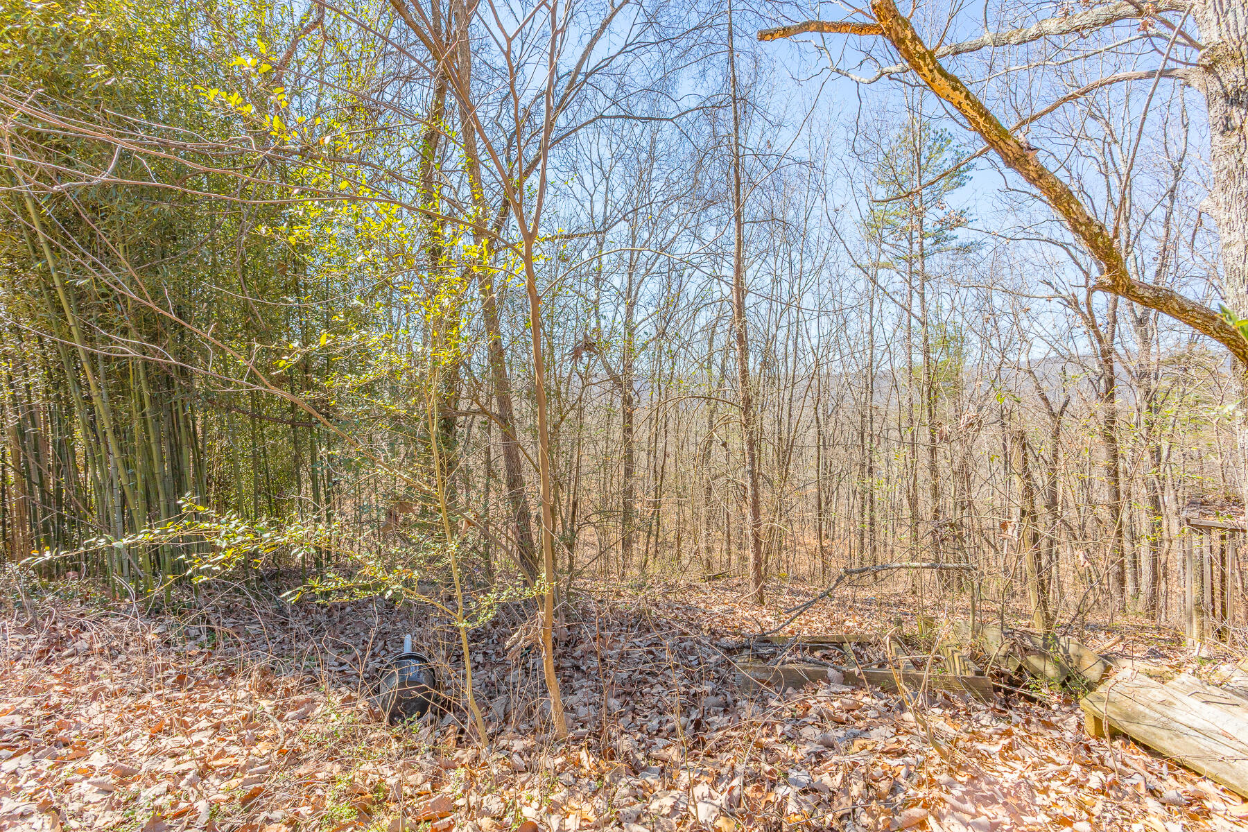 406 Ridgeland Road Rossville, GA 30741 - Photo 41 of 56 406 Ridgeland Road HD-2