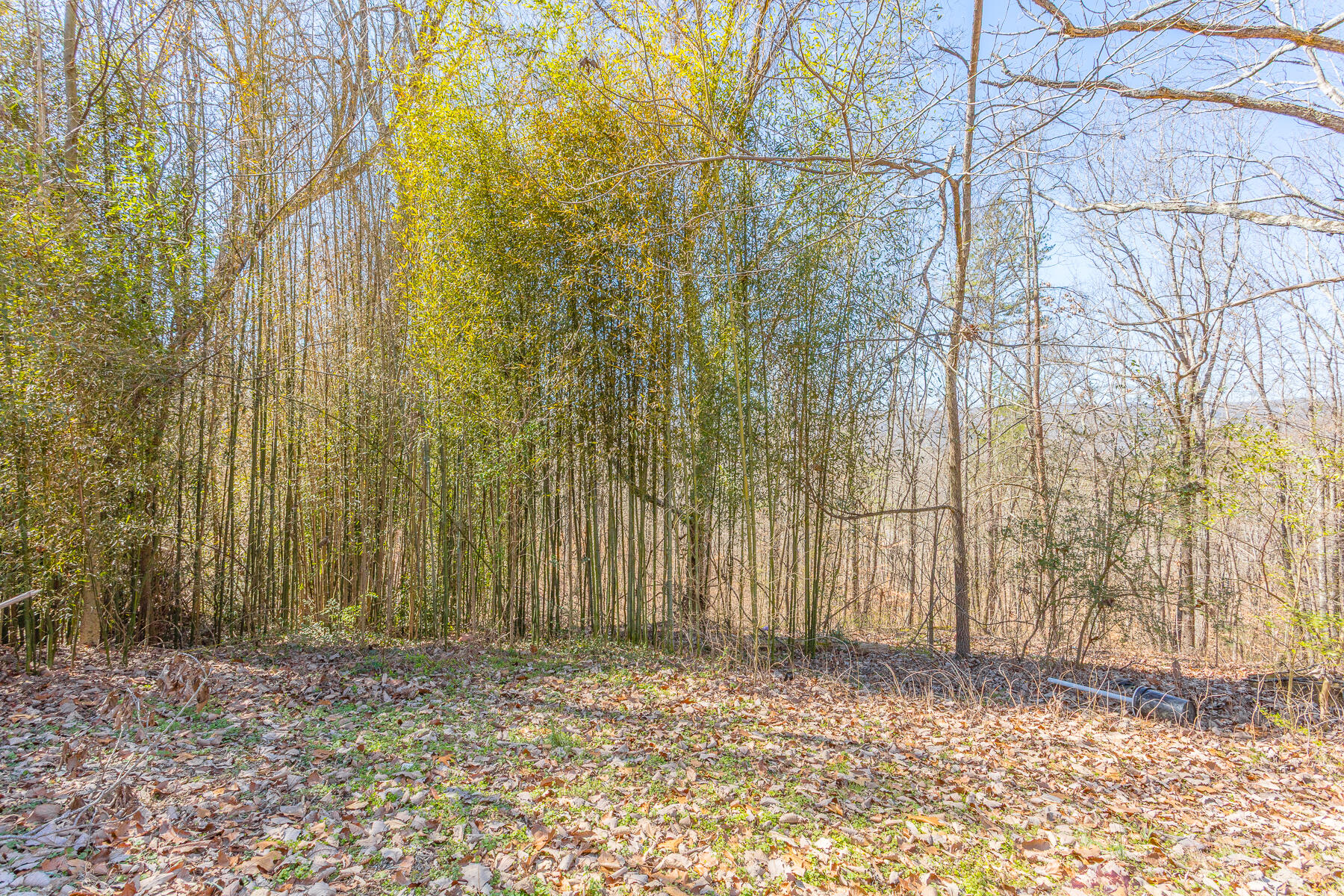406 Ridgeland Road Rossville, GA 30741 - Photo 42 of 56 406 Ridgeland Road HD-3
