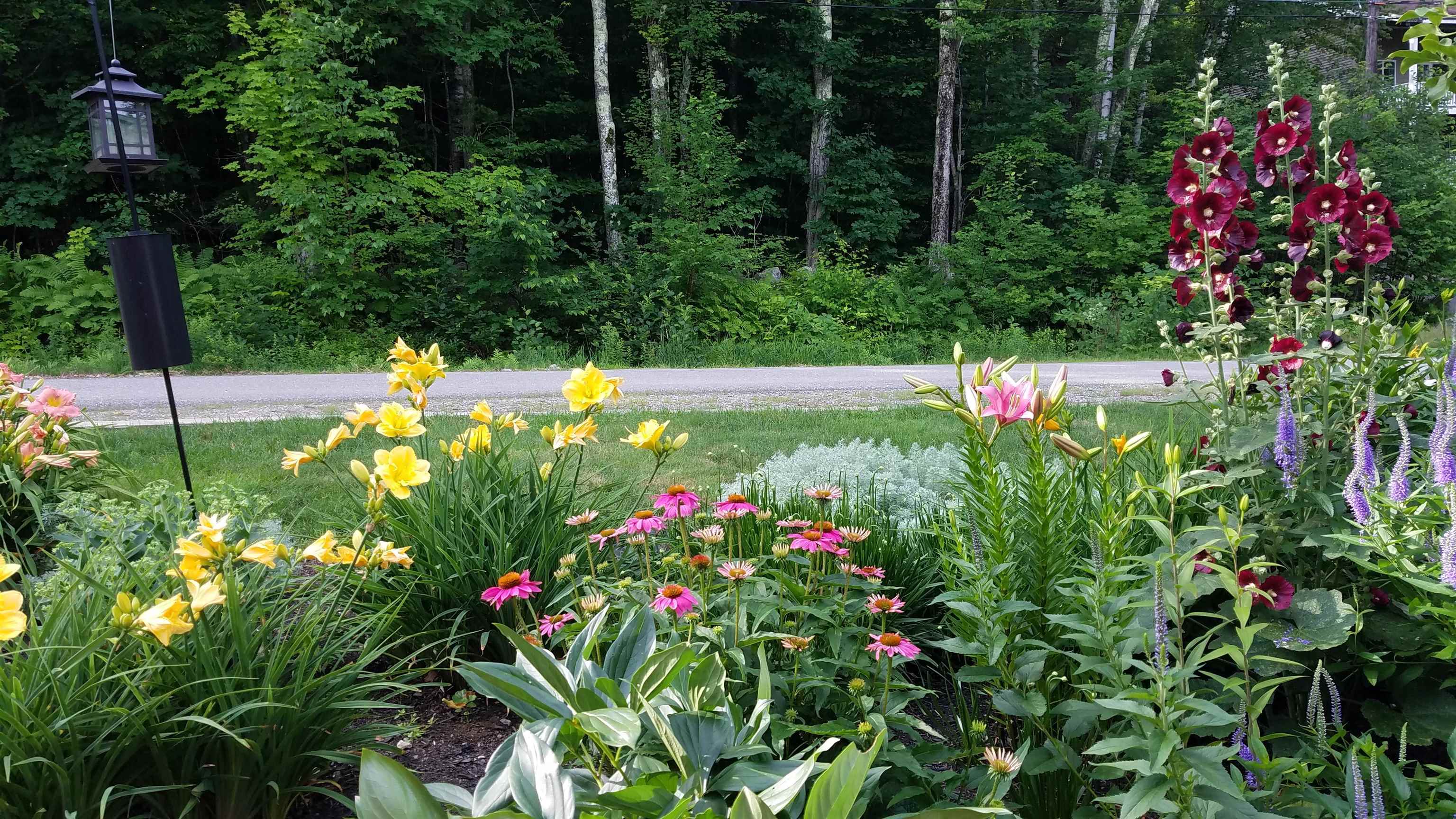 30 Lockes Hill Road Gilford, NH 03249 - Photo 43 of 45 Gallery Image 43