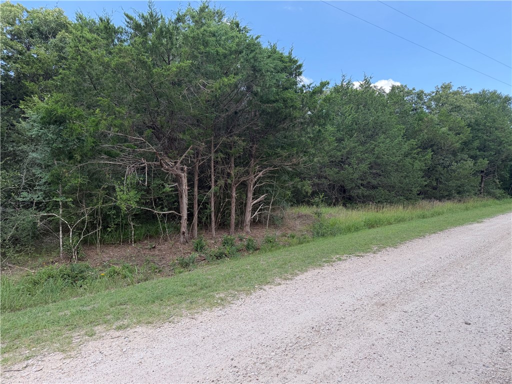 304 Overlook Loop Somerville, TX 77879 - Photo 5 of 17