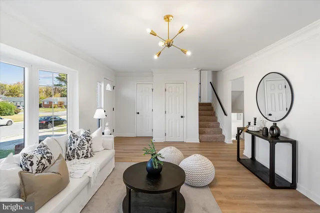 a living room with furniture a rug potted plant and a large window