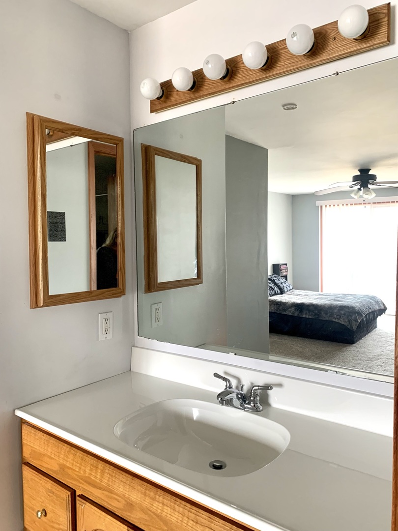 2231 Flower Court, Unit 2231 Schaumburg, IL 60107 - Photo 13 of 24 a bathroom with a sink and a mirror