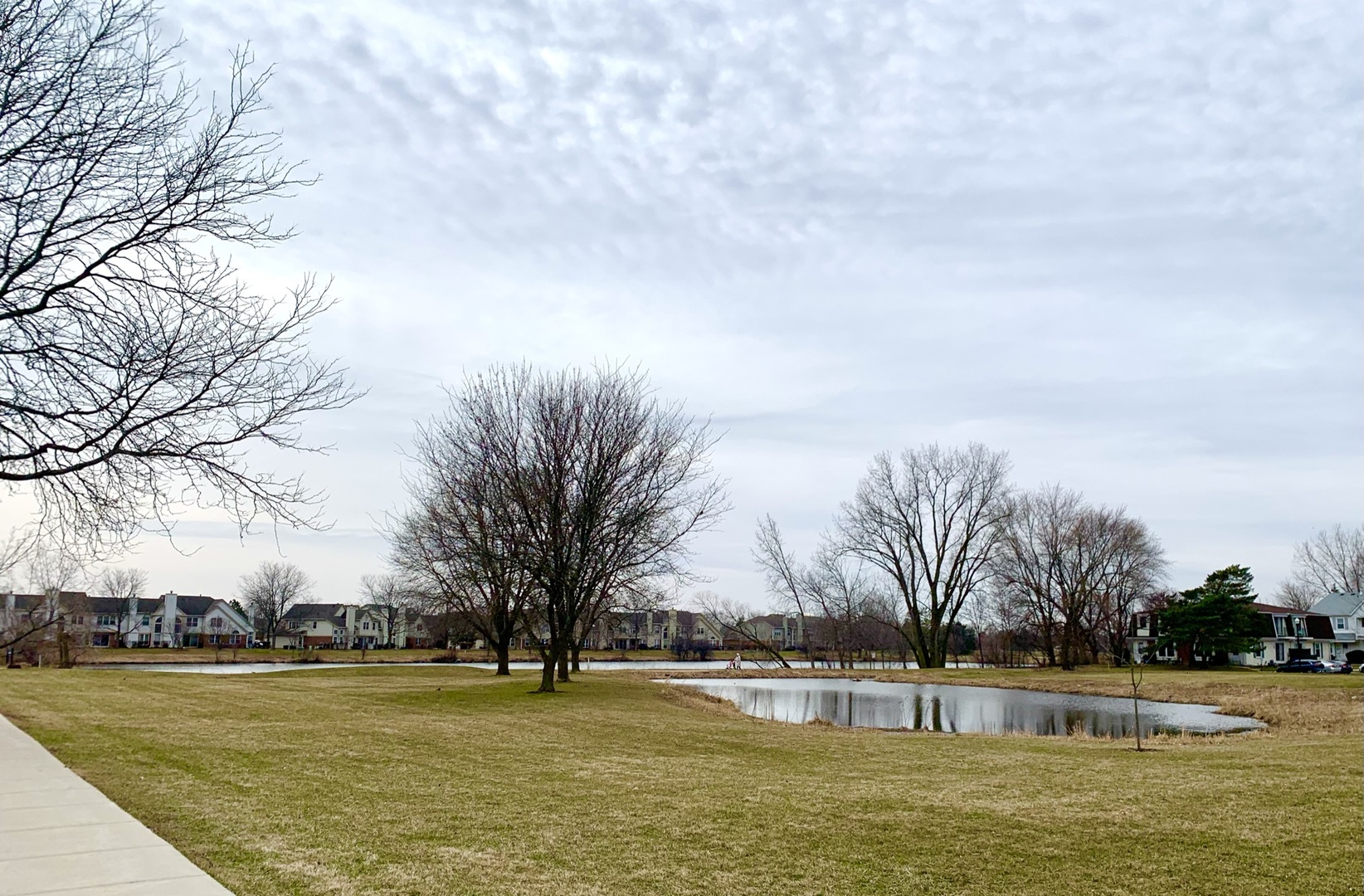 2231 Flower Court, Unit 2231 Schaumburg, IL 60107 - Photo 22 of 24 a view of a large swimming pool and trees in the background