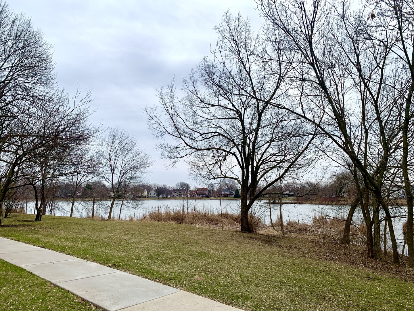 2231 Flower Court, Unit 2231 Schaumburg, IL 60107 - Photo 23 of 24 a view of a yard with a tree