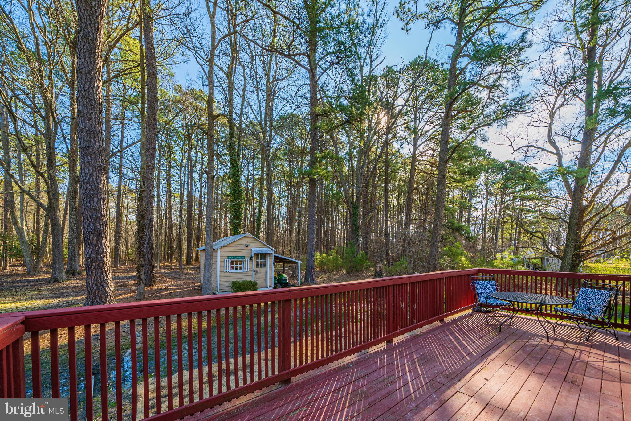 20350 Colton Point Road Coltons Point, MD 20626 - Photo 9 of 30 a view of a wooden deck with trees