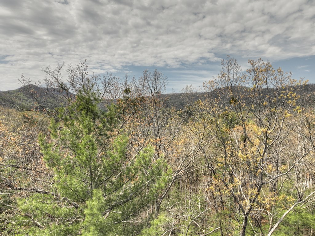 9.13-ac Hells Hollow Road Blue Ridge, GA 30513 - Photo 51 of 59 Gallery Image 51