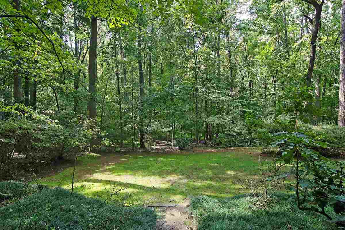 1209 Carrington Drive Raleigh, NC 27615 - Photo 4 of 25 Photo 4