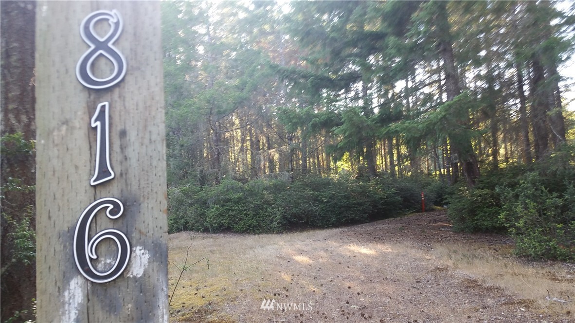 816 Webb Road Southwest Lakebay, WA 98349 - Photo 2 of 15