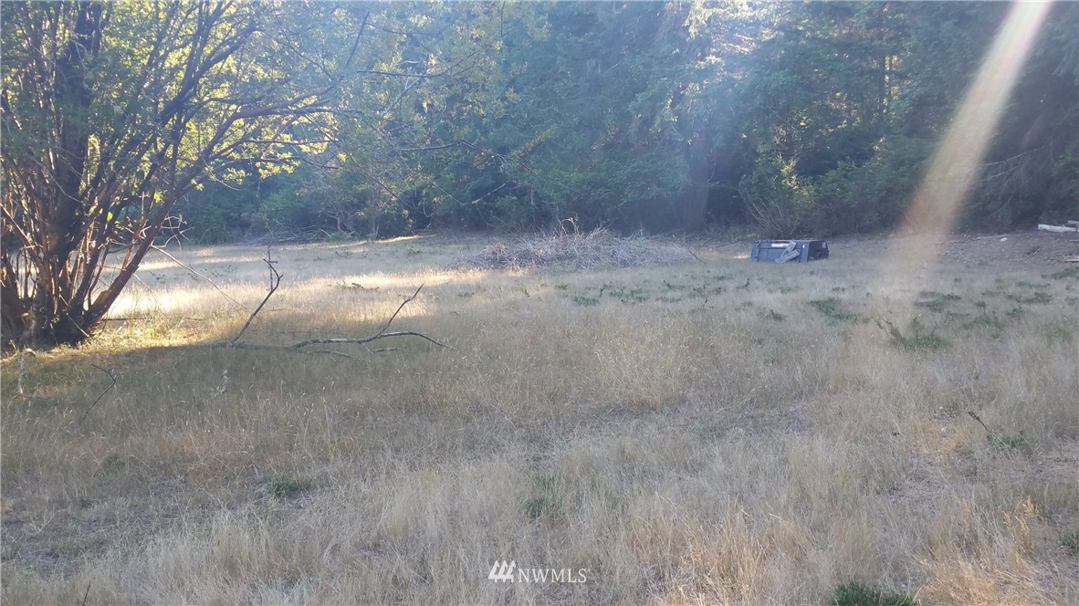 816 Webb Road Southwest Lakebay, WA 98349 - Photo 11 of 15