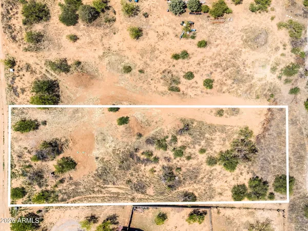 a view of a big yard with lots of bushes