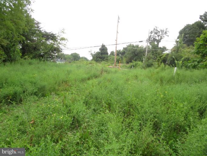 3708 Annapolis Road Halethorpe, MD 21227 - Photo 1 of 5 a view of a green field with lots of bushes