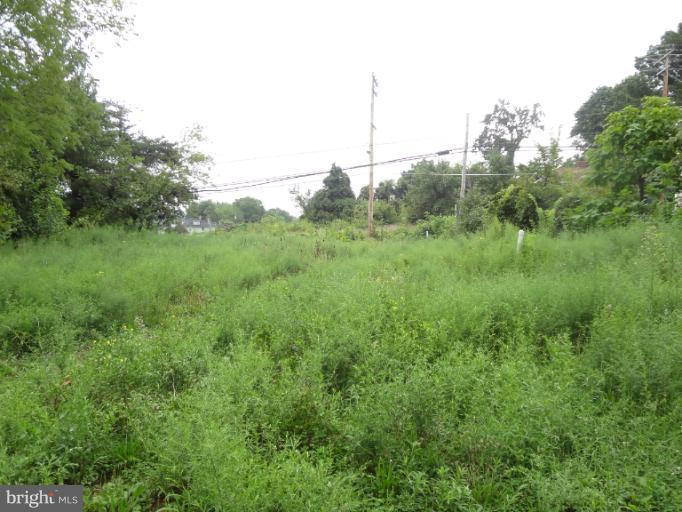 3708 Annapolis Road Halethorpe, MD 21227 - Photo 3 of 5 a view of a green field with lots of bushes
