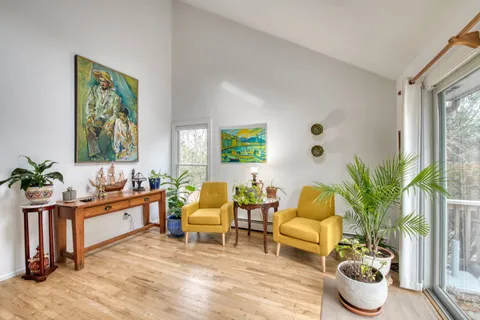 a living room with furniture and a potted plant