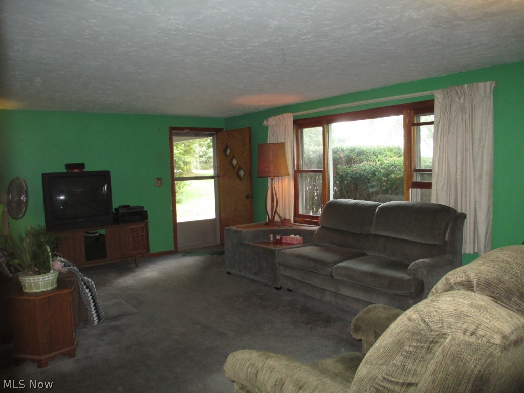 12154 West Ridge Road Oberlin, OH 44074 - Photo 5 of 24 Loads of Natural light and cross breezes from picture window.