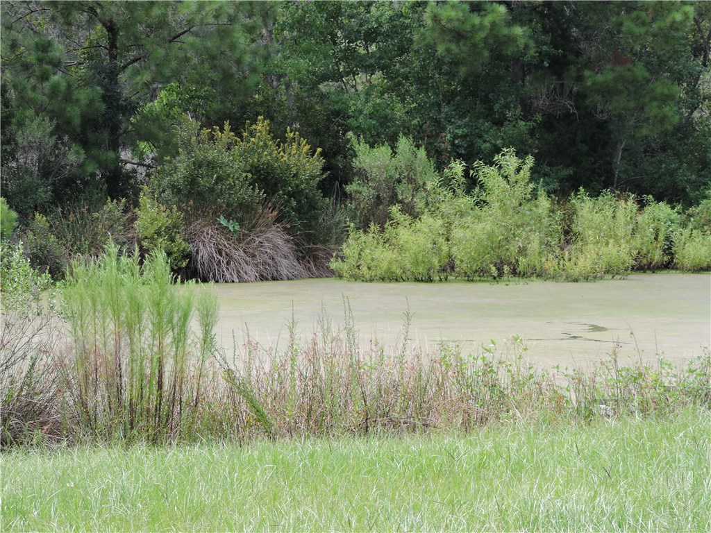 85581 Claxton Road Yulee, FL 32097 - Photo 12 of 15 Gallery Image 12