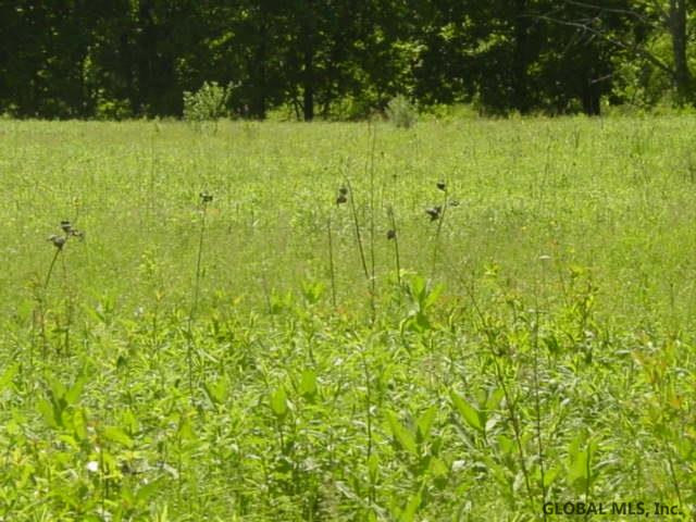176 County Rt 357 Medusa, NY 12120 - Photo 8 of 10 Photo 8