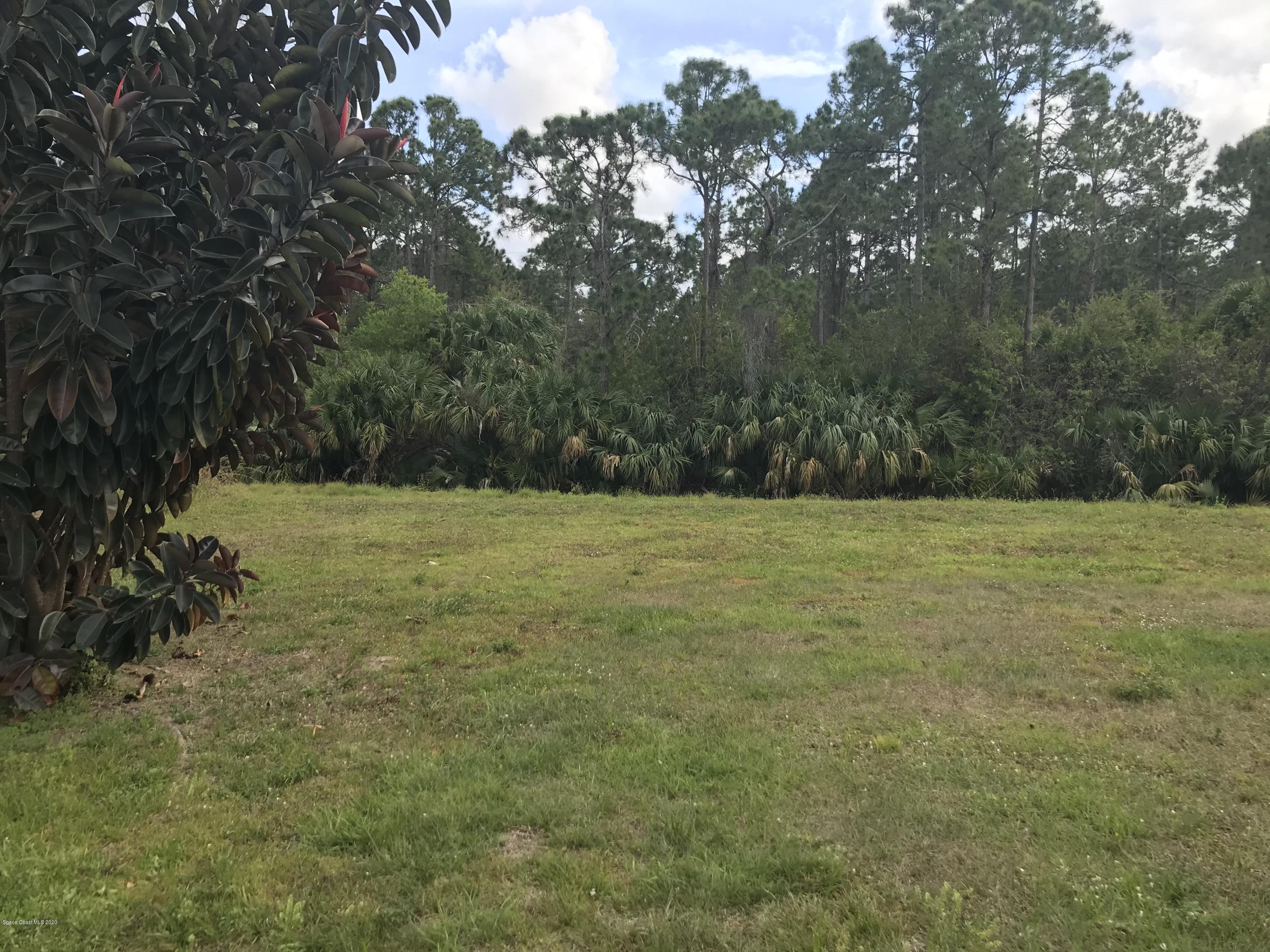 524 Titan Road Southeast Palm Bay, FL 32909 - Photo 18 of 18 a view of outdoor space with trees all around