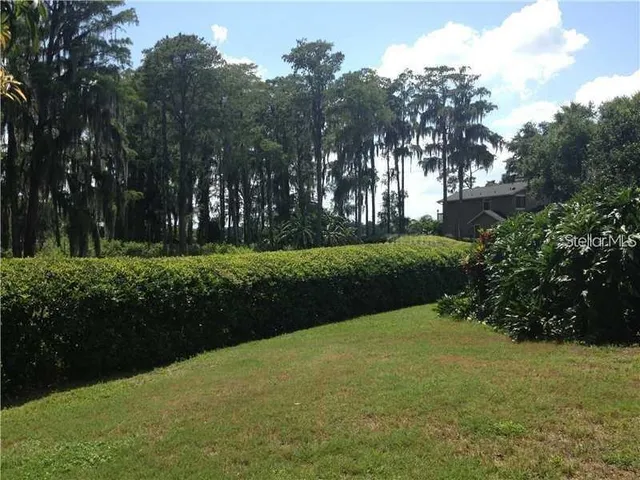 a view of a field of grass and trees