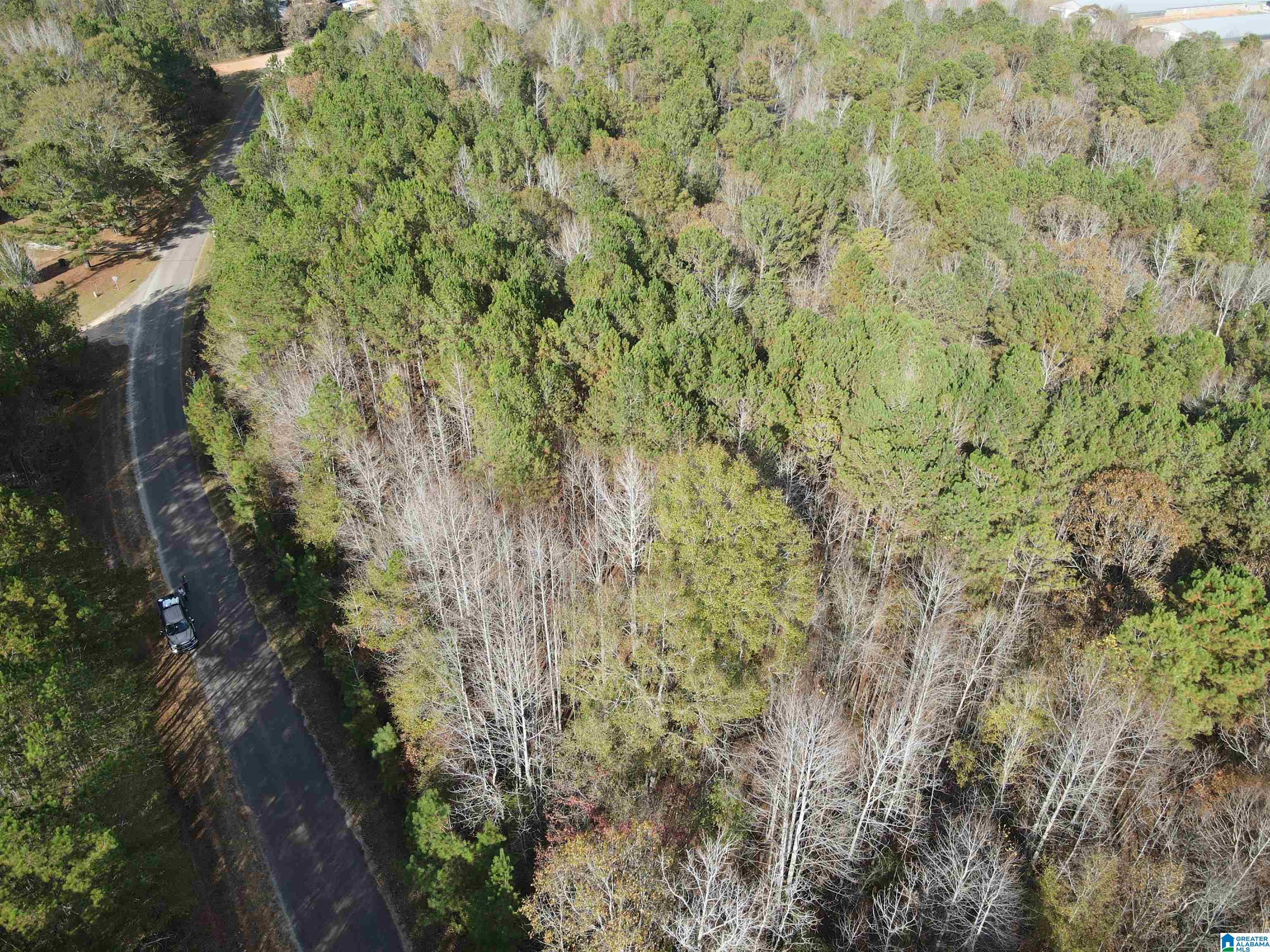 864 County Road Wadley, AL 36276 - Photo 2 of 7