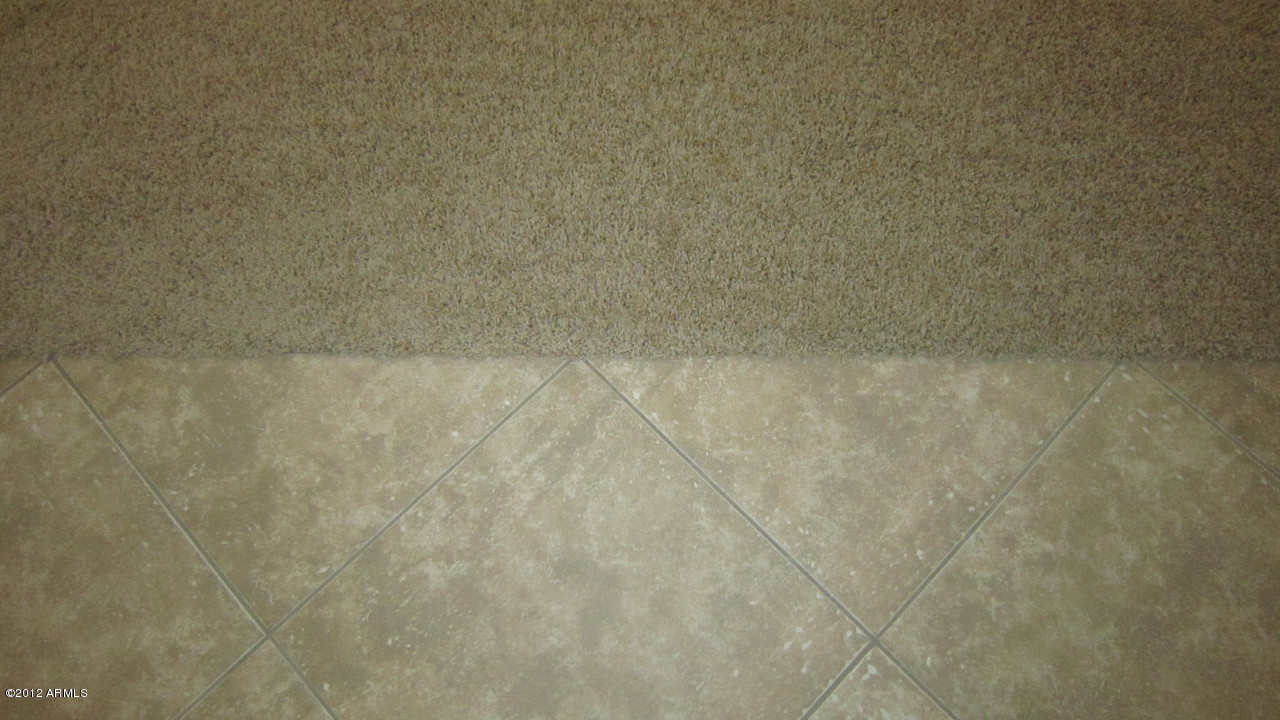 43418 West Magnolia Road Maricopa, AZ 85138 - Photo 3 of 50 new flooring