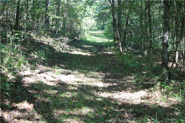 20600 Cotton Belt Road Athens, AL 35614 - Photo 15 of 18