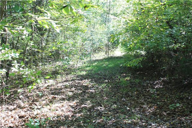 20600 Cotton Belt Road Athens, AL 35614 - Photo 9 of 18