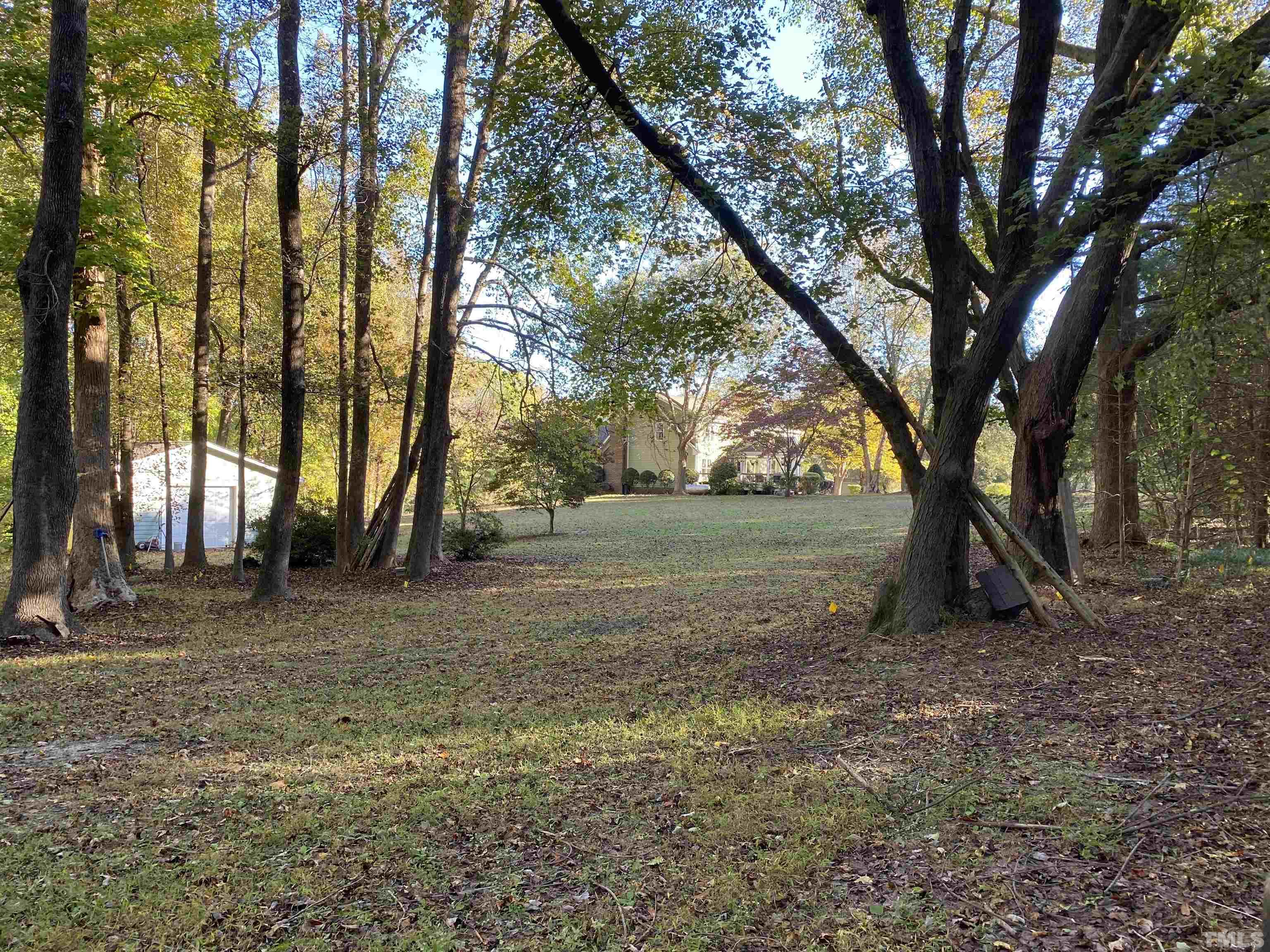924 Windrow Lane Raleigh, NC 27603 - Photo 7 of 26 a view of outdoor space with trees