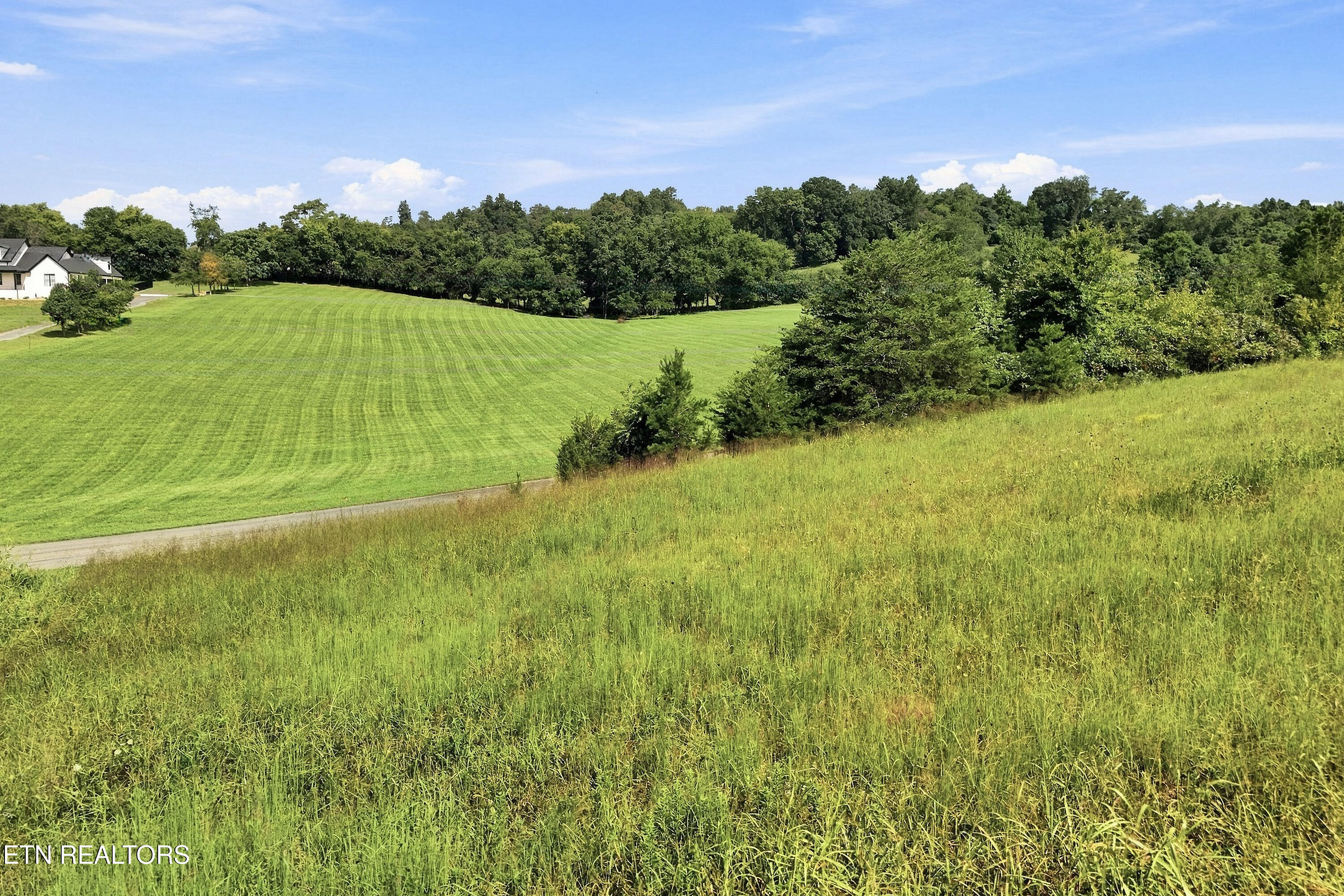 Tbd Holston River Drive Rutledge, TN 37861 - Photo 3 of 19 4_lot43_004