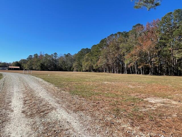 4 Fish Road Ridgeville, SC 29472 - Photo 13 of 14 IMG_6187
