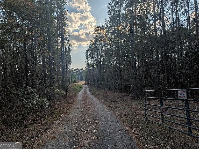 305 Cottonton Road Pittsview, AL 36871 - Photo 15 of 29