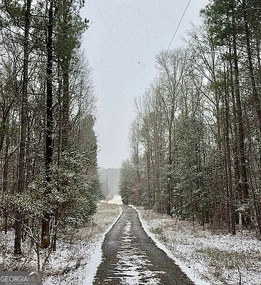 305 Cottonton Road Pittsview, AL 36871 - Photo 16 of 29