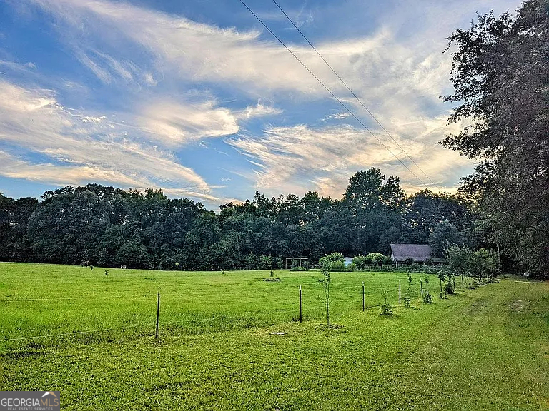 305 Cottonton Road Pittsview, AL 36871 - Photo 19 of 28 a view of a golf course with a garden