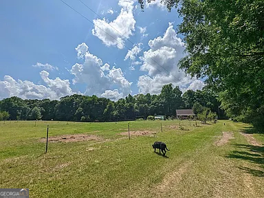 305 Cottonton Road Pittsview, AL 36871 - Photo 20 of 28 a view of a golf course with a park