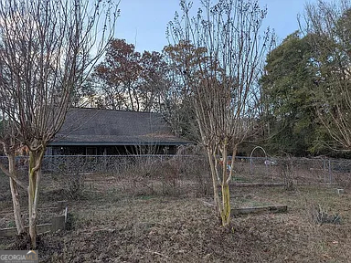 305 Cottonton Road Pittsview, AL 36871 - Photo 2 of 28 a view of backyard with tree