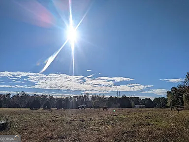 305 Cottonton Road Pittsview, AL 36871 - Photo 22 of 29