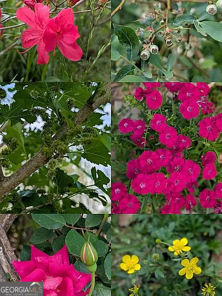 305 Cottonton Road Pittsview, AL 36871 - Photo 27 of 29