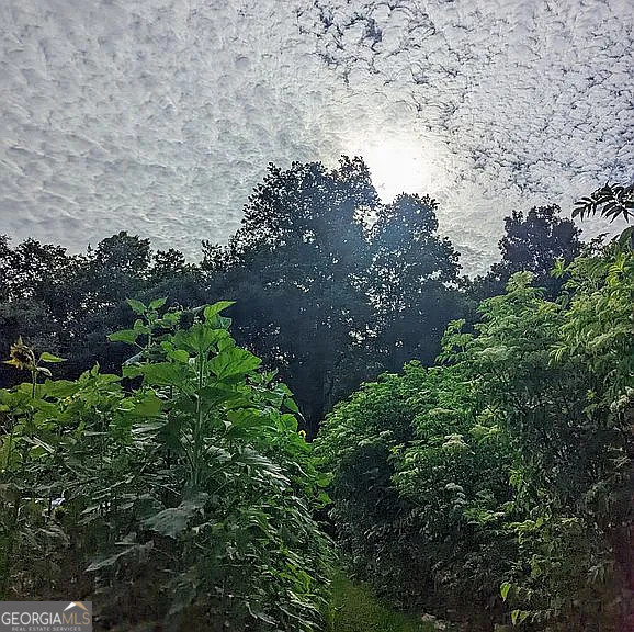 305 Cottonton Road Pittsview, AL 36871 - Photo 28 of 29