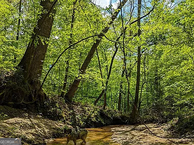 305 Cottonton Road Pittsview, AL 36871 - Photo 29 of 29