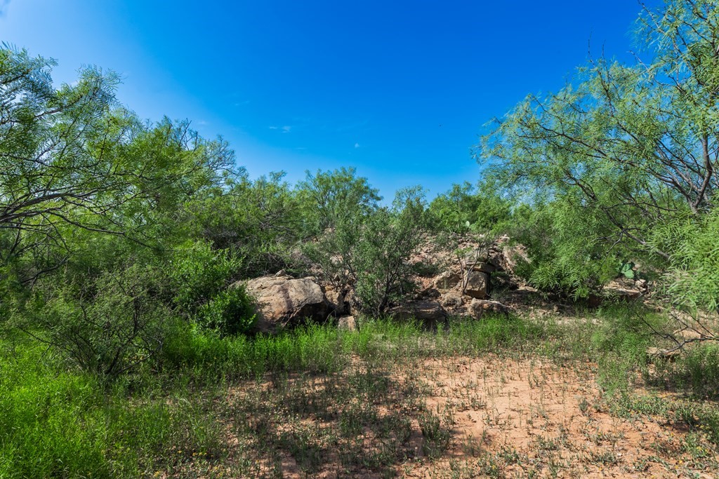 88291 Suaa Rd Well Lohn, TX 76852 - Photo 20 of 44 a backyard of a house with lots of green space